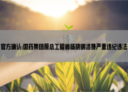 官方确认：国药集团原总工程师杨晓明涉嫌严重违纪违法