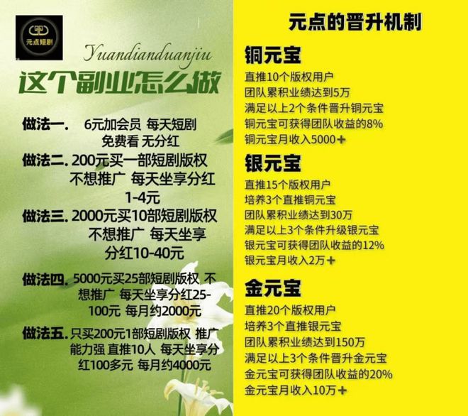 2000块投资短剧一夜暴富，杀猪盘都在收割谁？