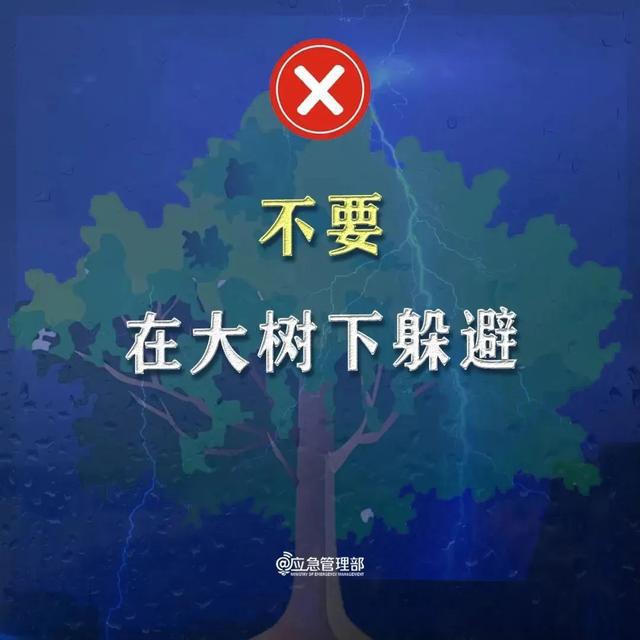 今起三天山东大范围降雨！中到大雨+冰雹+阵风9级，最新天气预报
