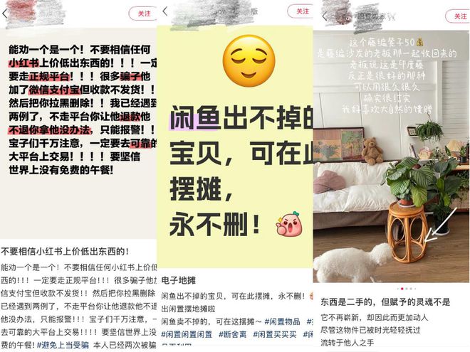 闲鱼经济，火在小红书？