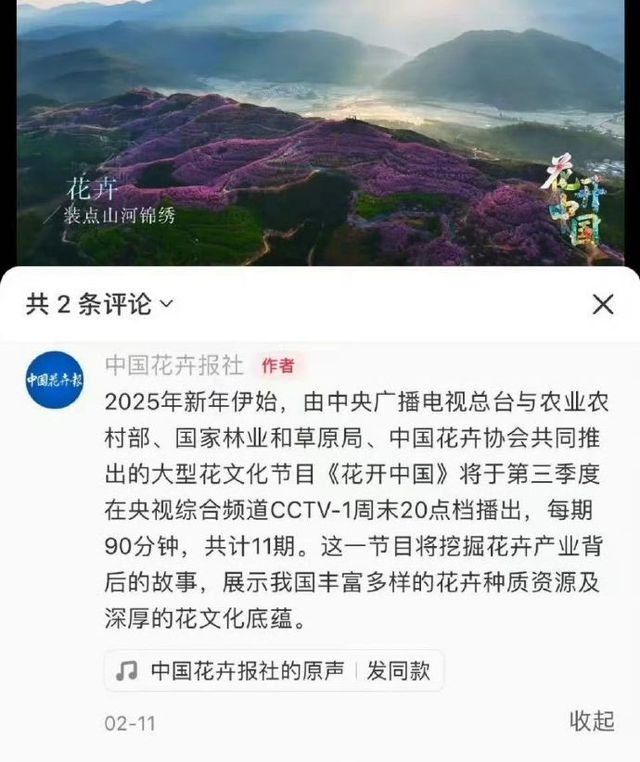 确认了！是刘诗诗