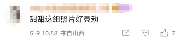 36岁景甜晒早期胶片照！网友：好萌好复古