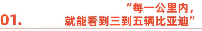 中国车企，鏖战巴西