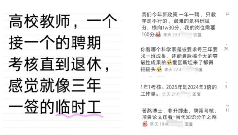 青年学者，为何成“高危”职业？