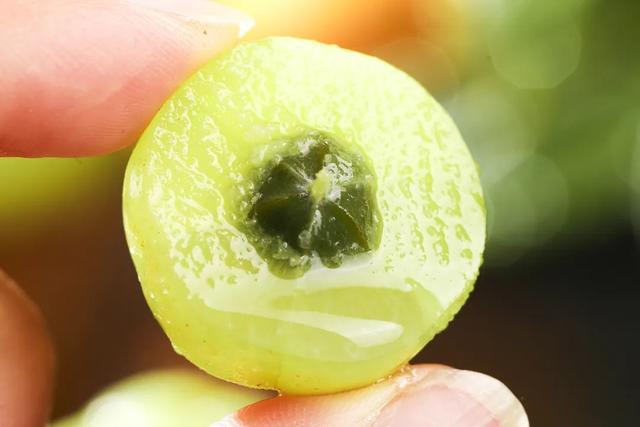 这种水果维生素C含量是橙子的近8倍，也被誉为“刮油神器”！