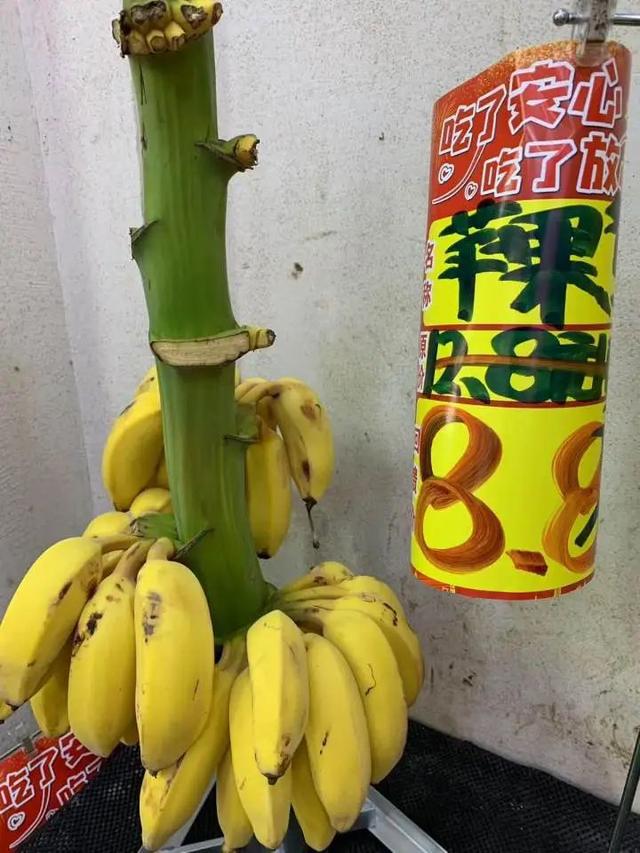“贵了很多”！很多人爱吃，去年2元一斤的几乎绝迹