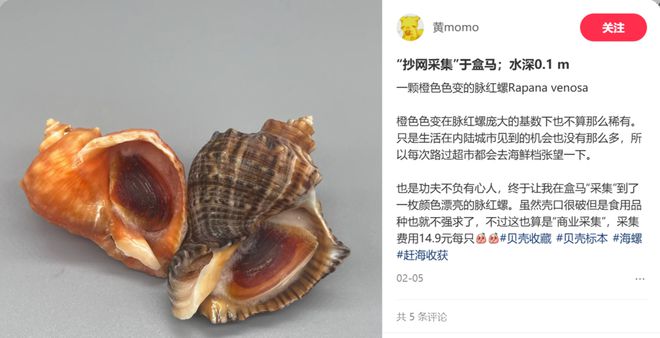 年轻人的新型领养：在超市捡海底小鼻嘎