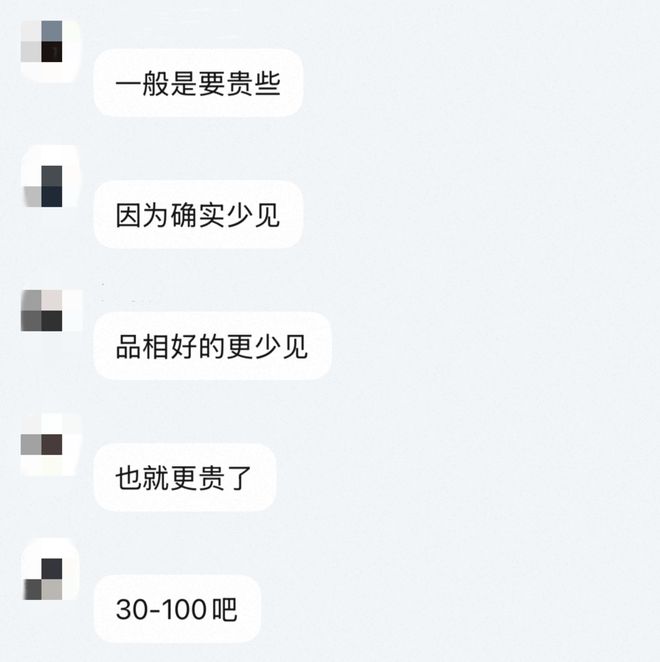 年轻人的新型领养：在超市捡海底小鼻嘎
