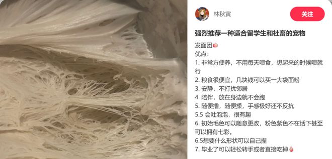 年轻人的新型领养：在超市捡海底小鼻嘎