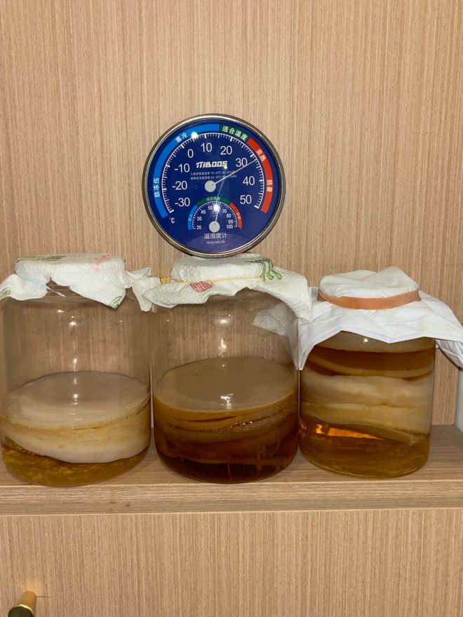 年轻人的新型领养：在超市捡海底小鼻嘎