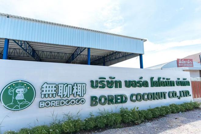 供应链玩家决心下场做高端椰子水品牌，「IMCOCO」集团完成亿元级Pre-A轮融资 | 融资首发