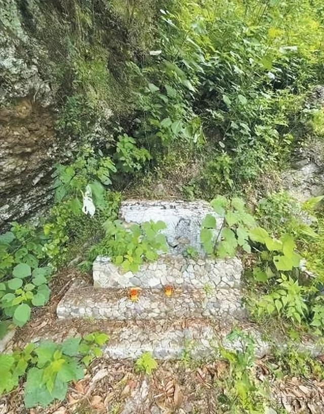 浙江一烈士纪念设施遭人为破坏，“有关部门无人理睬”？官方通报