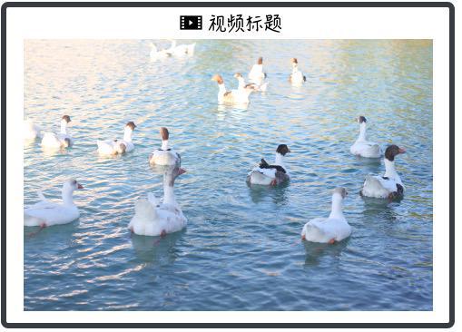 看到100美元！油价多头：别被OPEC吓到