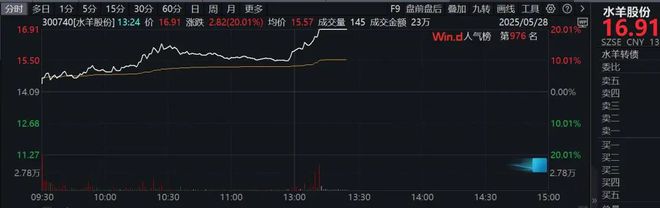 午后，突然直线拉升20%涨停！