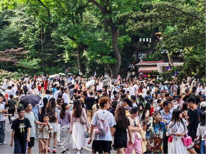 【猫猫看市】市场上人再多，也有好机会等着你