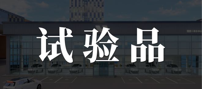 理想MEGA，破茧再生？