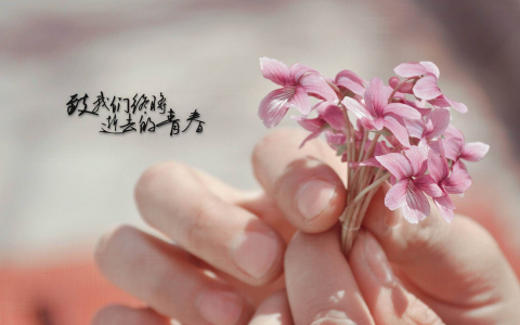 独家|赛诺菲四价流感病毒裂解疫苗恢复供应中国市场