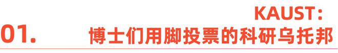 中东留学：用孤独换机遇，中国学生的“勇敢者游戏”