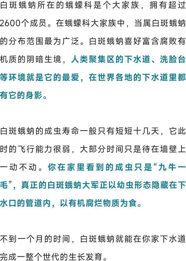 这种虫子看到一只，家里很可能已有一万只（不是蟑螂）