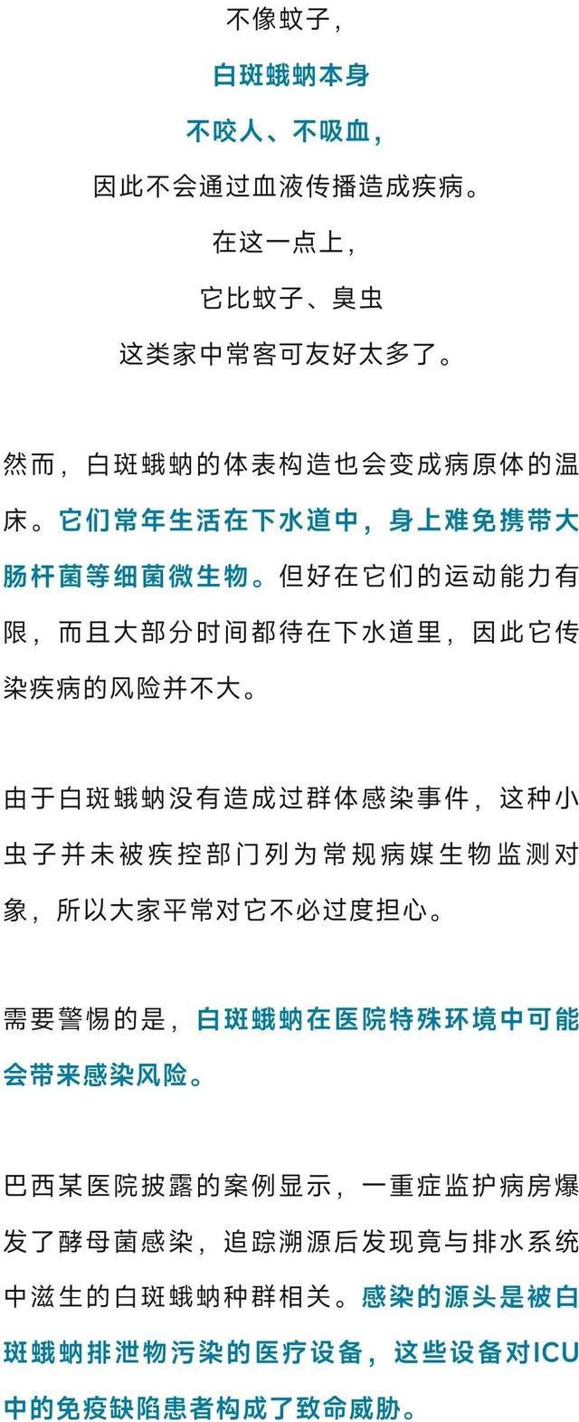 这种虫子看到一只，家里很可能已有一万只（不是蟑螂）