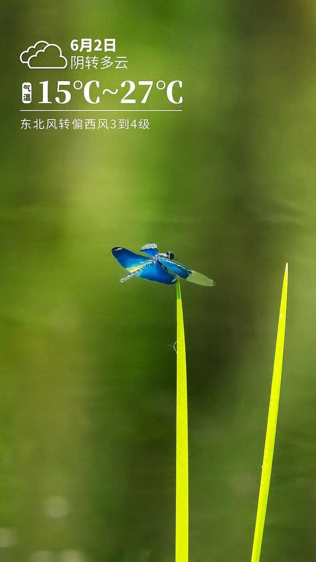 34℃+！雨雨雨！6级大风！