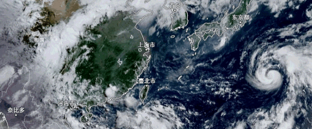 今起气温再升级，本周末上海最高温可达39~40度！高温防暑知识请查收→
