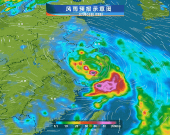 急转弯，台风路径又变了！直逼浙江，停航停运！上海雷电+大风预警高挂