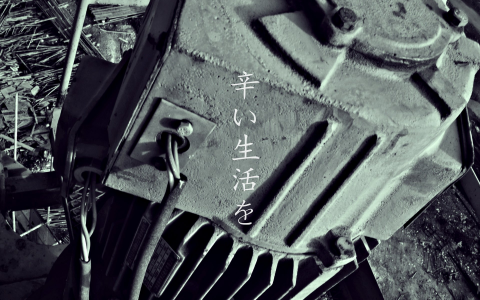 广东佛山：全市确诊基孔肯雅热病例1873例