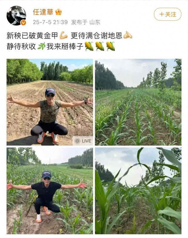 70岁著名演员任达华，收完麦子又来种玉米，社交账号IP显示他仍在老家山东