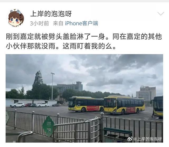 上海双预警高挂！注意，局地累积雨量中到大雨！一地88条灾害预警↗