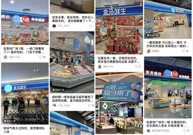 挤掉永辉，盒马快成吾悦广场的专属超市了